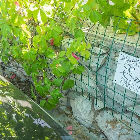 Ema & Mislav With Terrace Lägenhet *